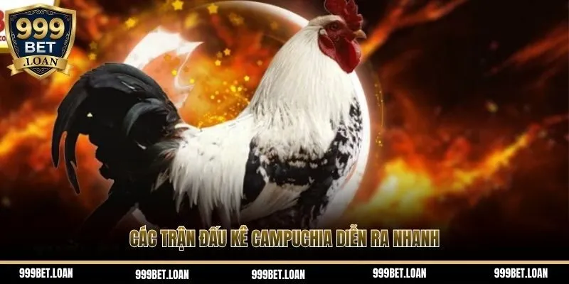 Các trận đấu kê Campuchia diễn ra nhanh