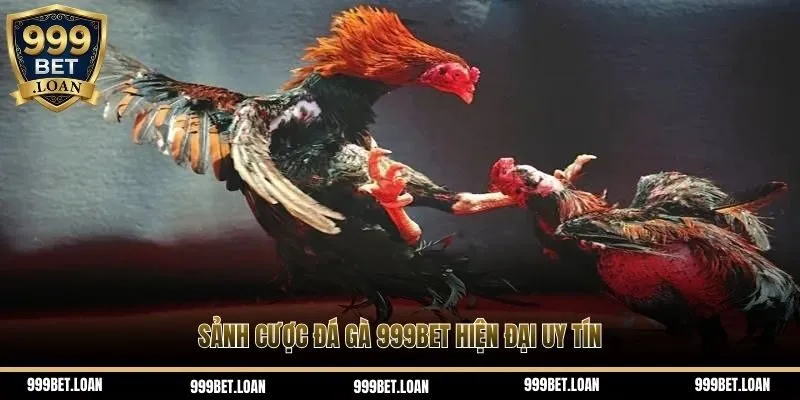 Sảnh cược đá gà 999Bet hiện đại uy tín