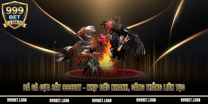 Đá gà cựa sắt 999bet