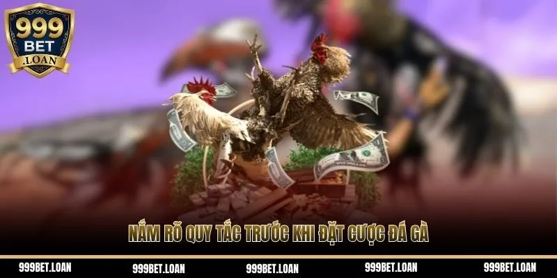 Nắm rõ quy tắc trước khi đặt cược đá gà